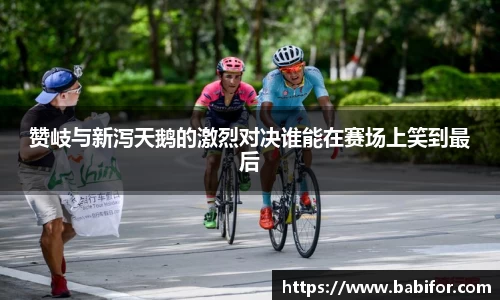 赞岐与新泻天鹅的激烈对决谁能在赛场上笑到最后